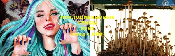 спиды Пестово