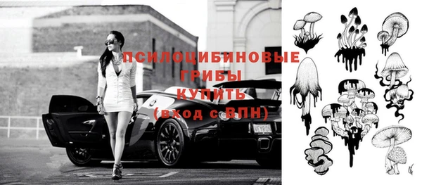 тгк Аркадак