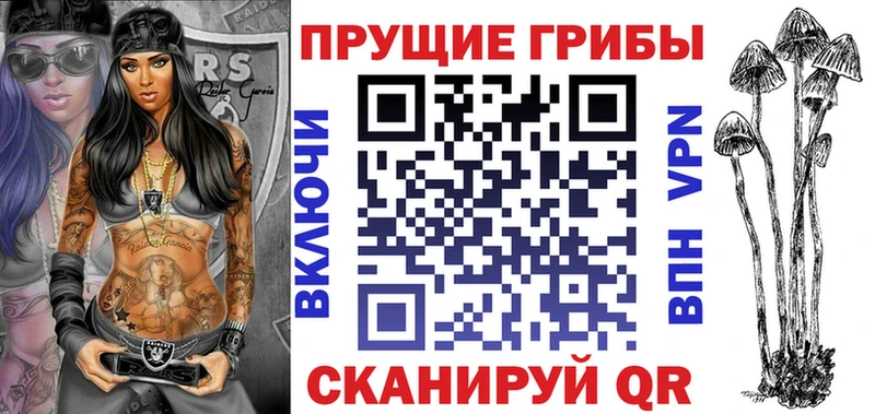 цена наркотик  Калтан  Псилоцибиновые грибы Psilocybe 
